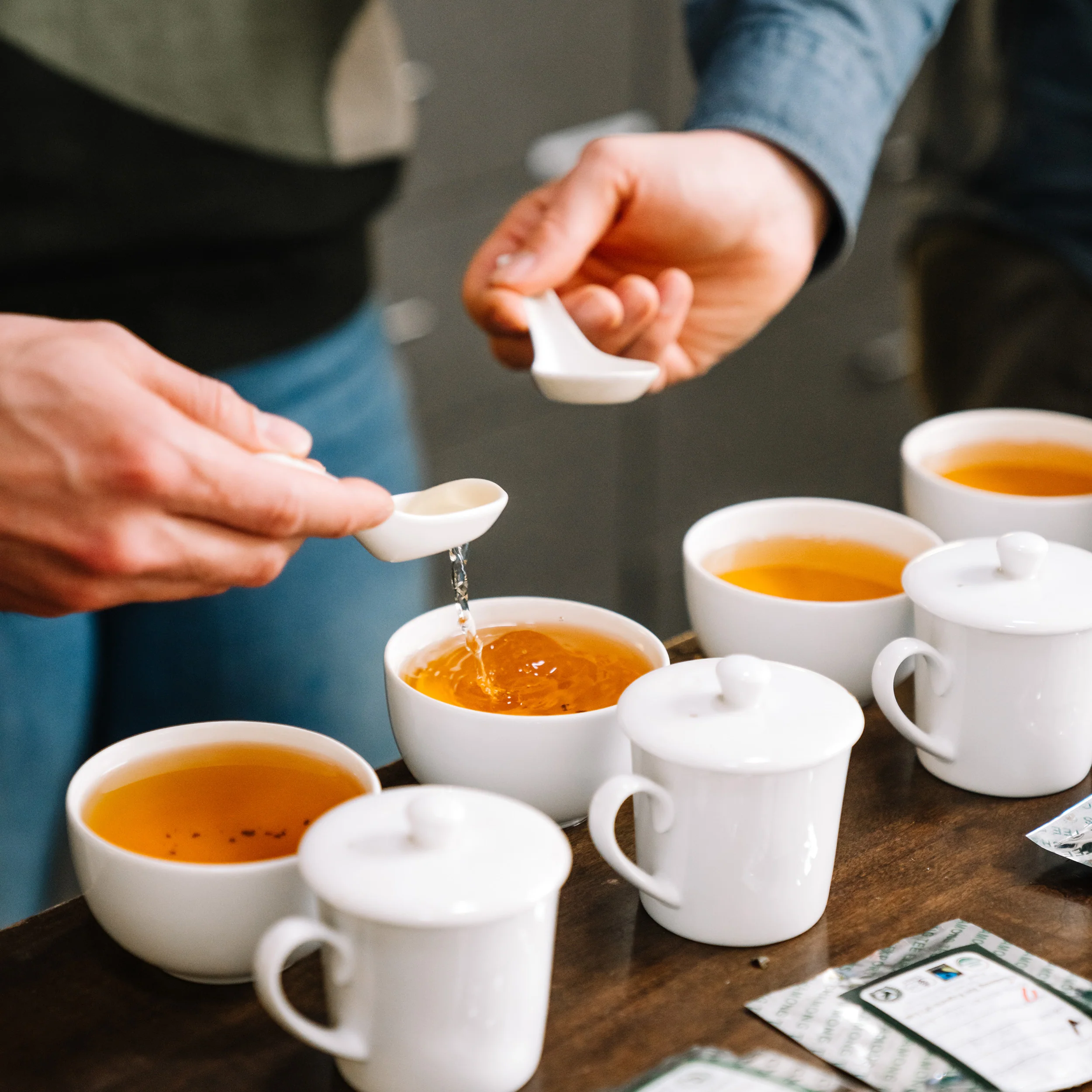 1st Flush Darjeeling - Image 4