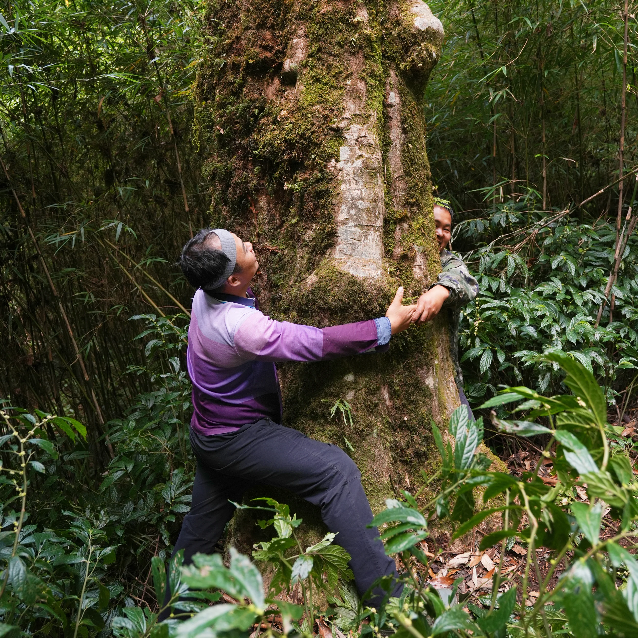 Ai Lao Wild Black - Image 8