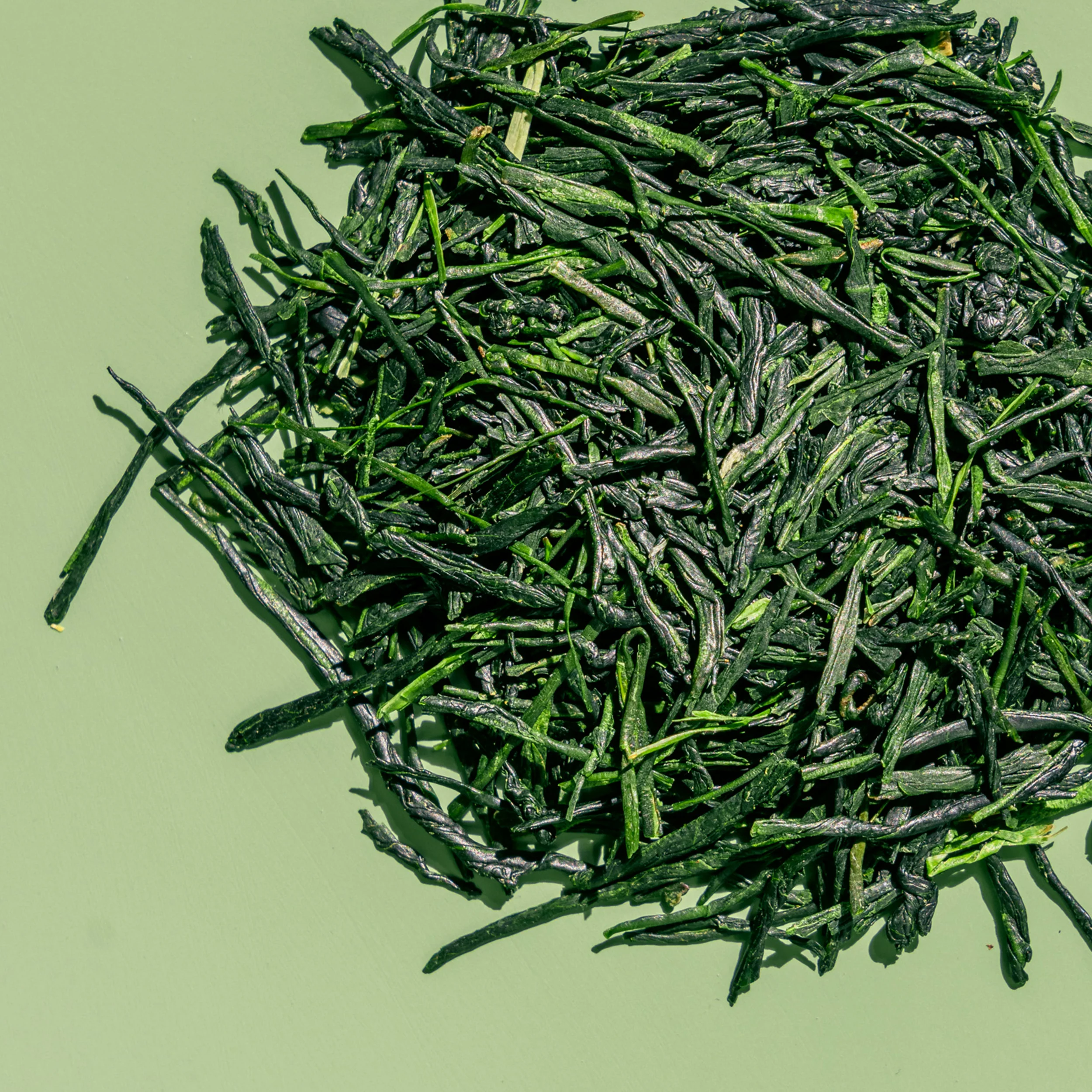 First Harvest Gyokuro - Image 4