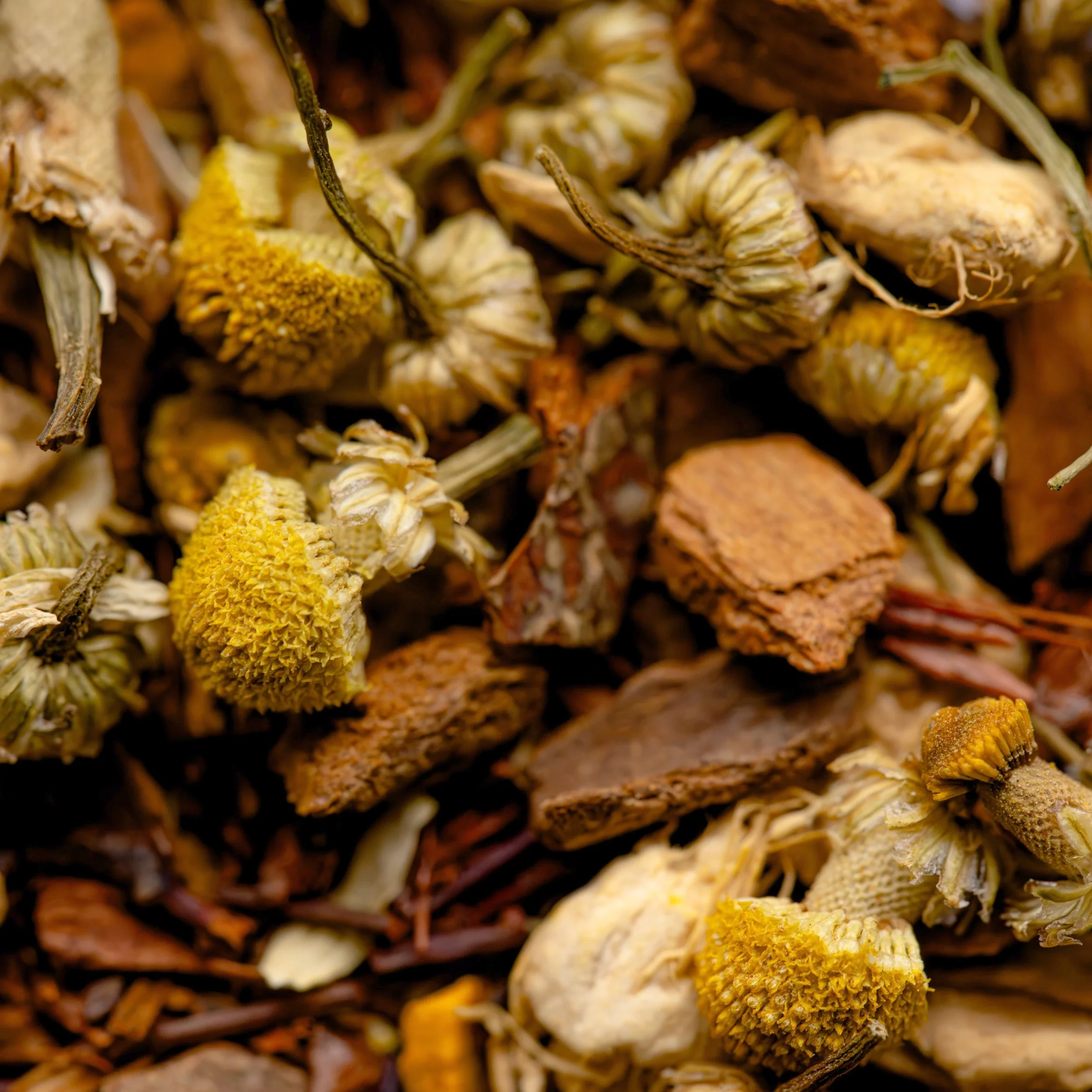 Harvest Spice - Image 5