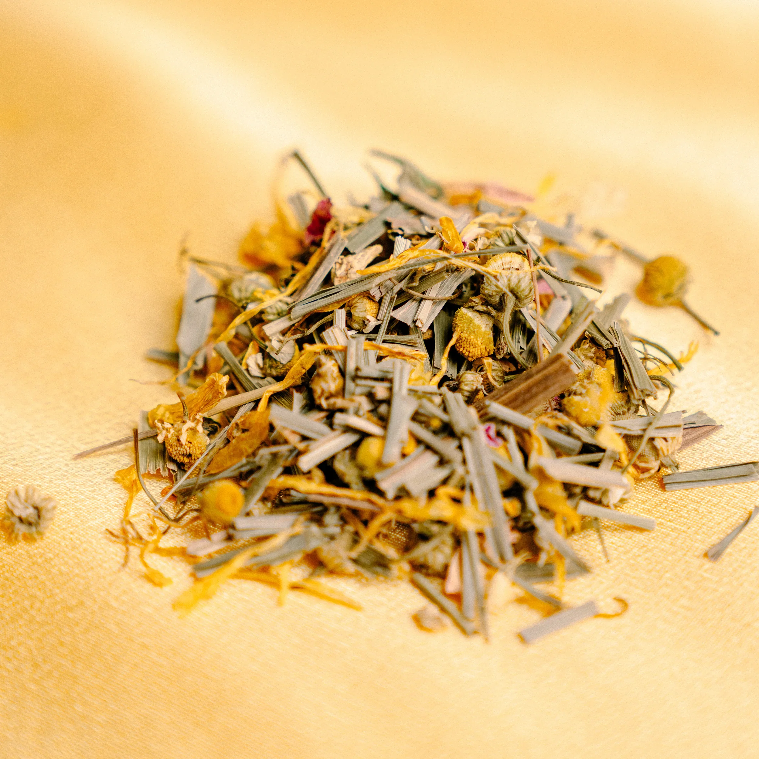 Marigold - Image 5