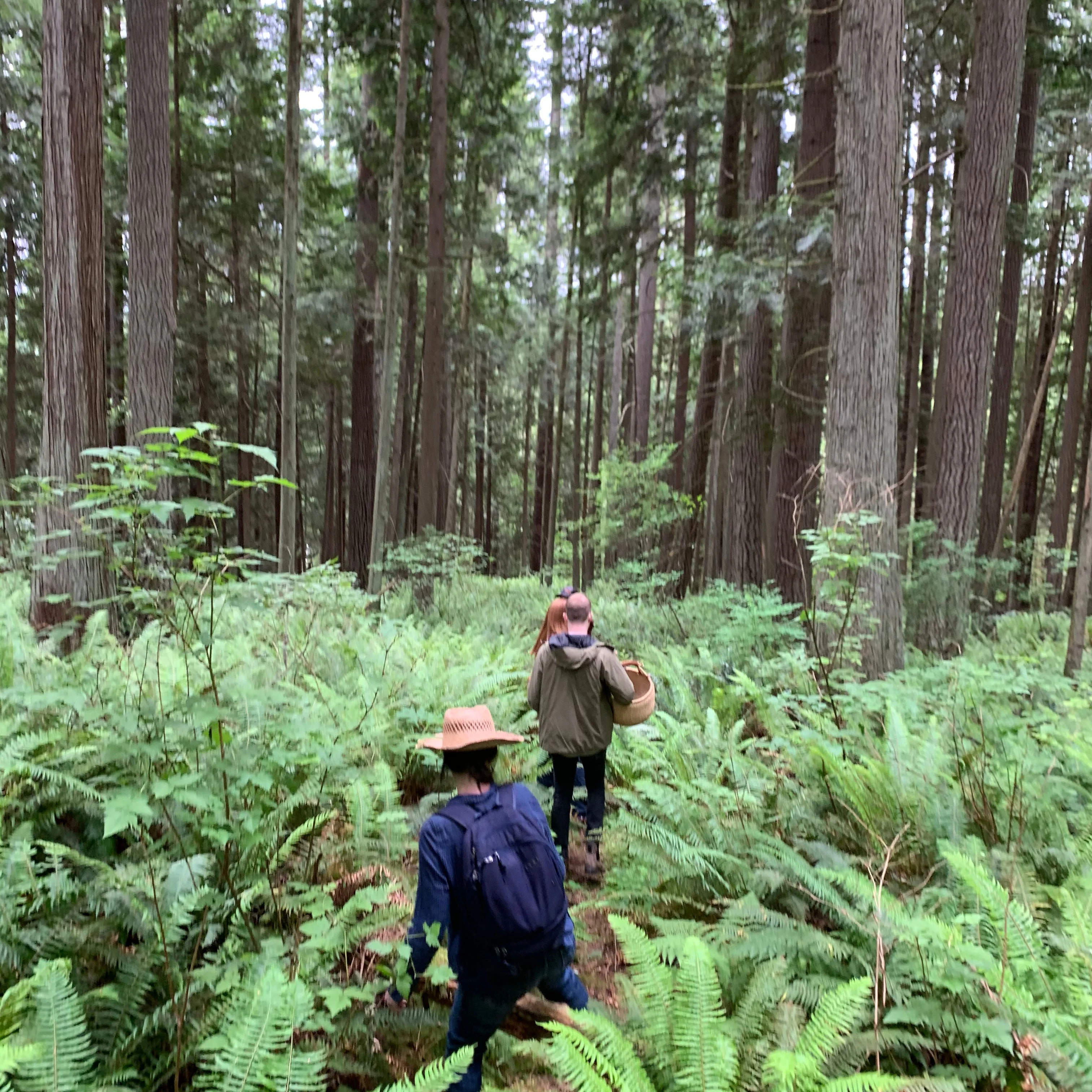 Northwest Alder Leaf - Image 10